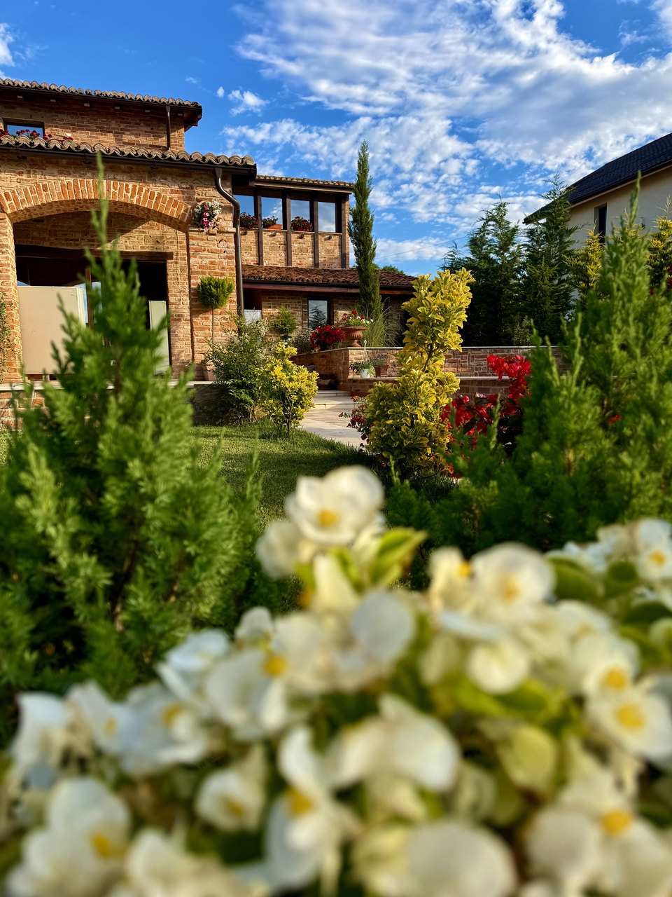 Flori albe în grădină, cu vila Toscana în fundal